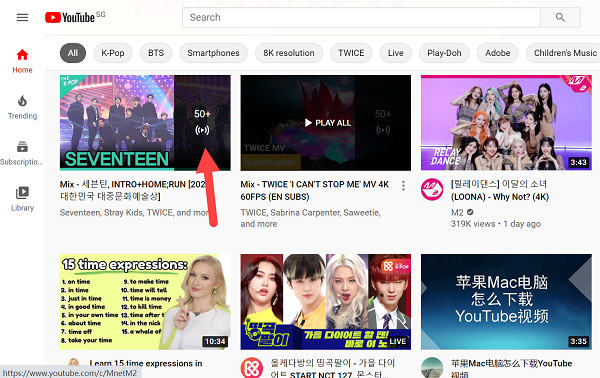 4K Video Downloader (YouTube视频下载器）