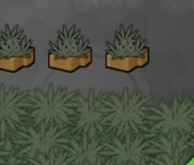 环世界烟草平衡v1.2MOD