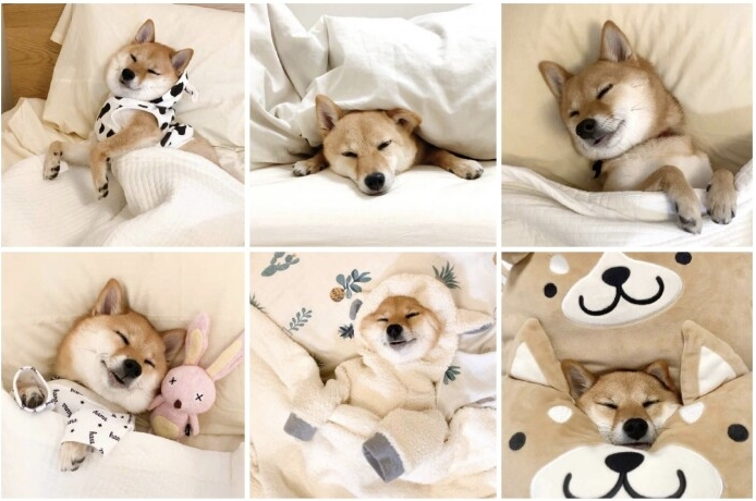 1606118410671650.png 冬日头像(你要是没事做,和我一起过冬吧)