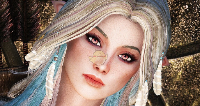 1611109199169941.png 上古卷轴5重制版Evelyn女性随从MOD