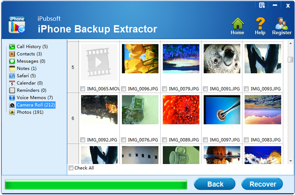 iPubsoft iPhone Backup Extractor(ios数据恢复)