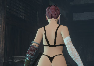 1616488426960739.png 只狼影逝二度蕾丝内衣女忍外观MOD