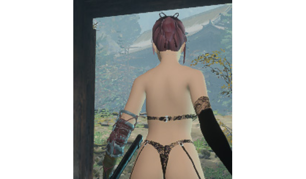 1616489050305941.png 只狼影逝二度女忍黑丝内衣MOD