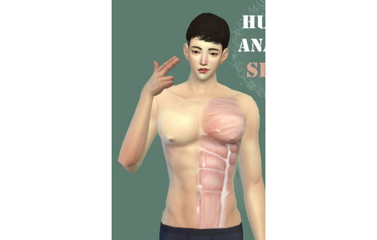 1617695990995756.png 模拟人生4人体解剖皮肤MOD