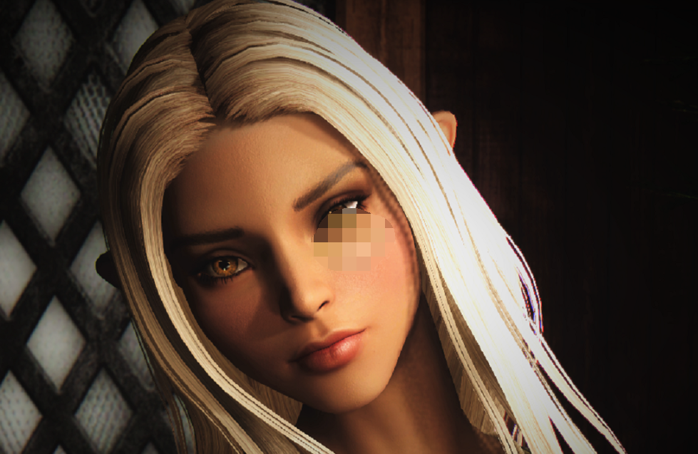上古卷轴5天际Inuel性感女性随从MOD