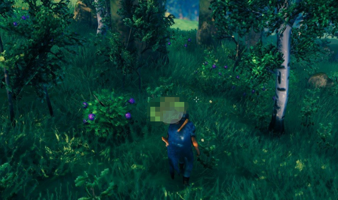 英灵神殿紫色覆盆子和蘑菇MOD