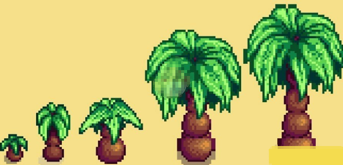 星露谷物语椰子扩展MOD