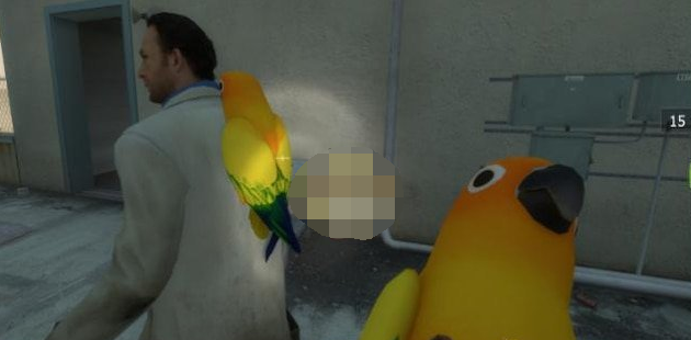 1618033513612997.png 求生之路2可爱鹦鹉医疗包MOD