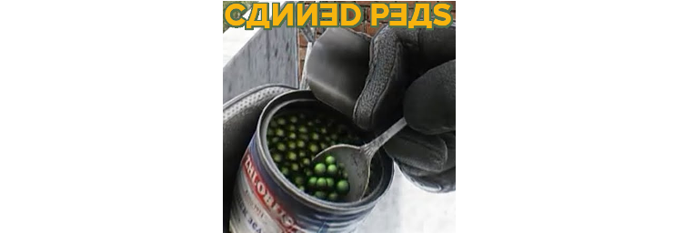 1618386674836792.png 僵尸毁灭工程豌豆罐头MOD