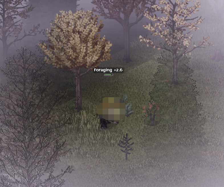 1618390303830007.png 僵尸毁灭工程显示技能经验增加效果MOD