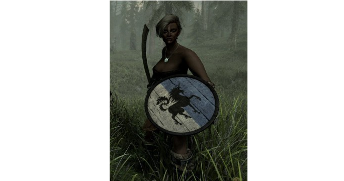 1618469642813342.png 上古卷轴5重制版纹章盾牌合集包MOD