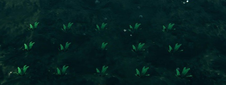 1619329845584961.png 英灵神殿批量收获与种植MOD