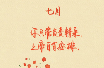 1624515728192758.png image.png