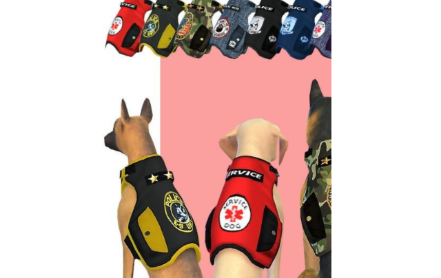 1627629861745301.png image.png