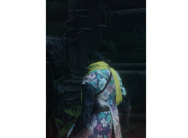 1628822868695951.png image.png