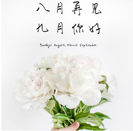 1630046882624334.png image.png