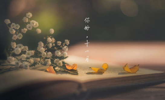 1635227129336566.png image.png