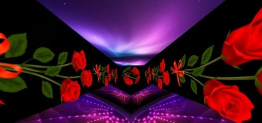 1636363880242051.png image.png