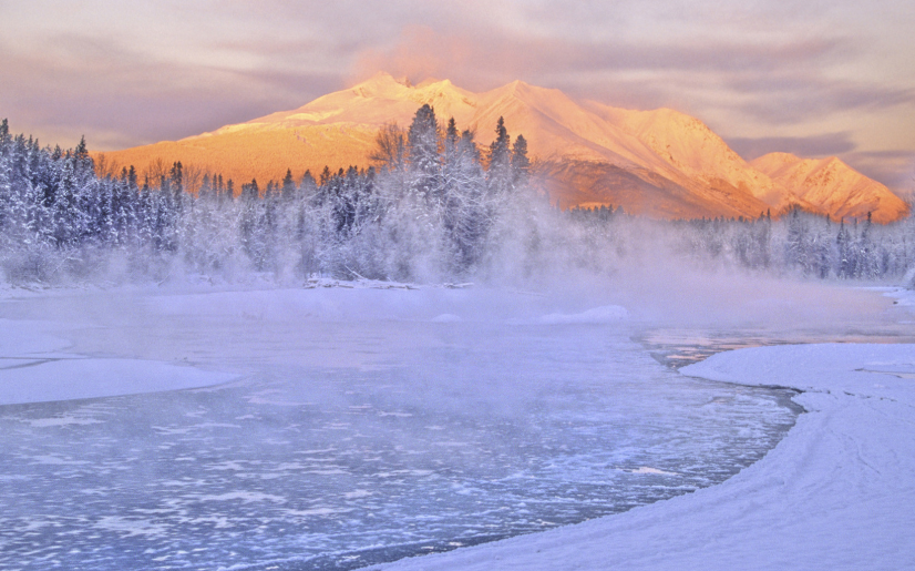 1636364552477242.png image.png