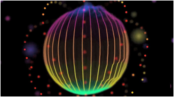 1636523541495458.png image.png