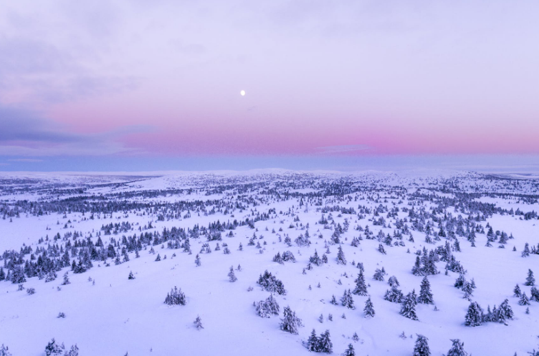 1637835158197916.png image.png