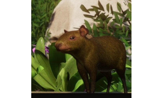 1638429198695737.png image.png