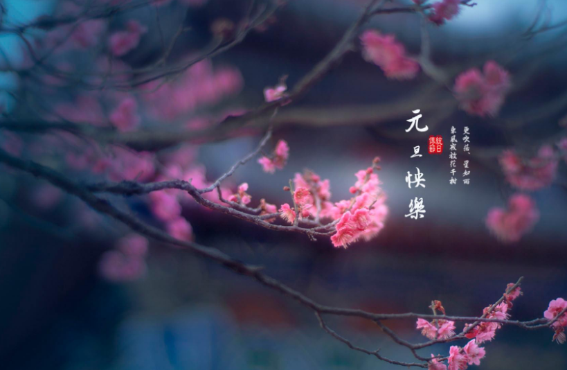 1638438231926346.png image.png