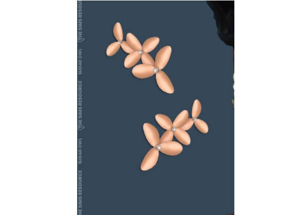 1640655517989819.png image.png