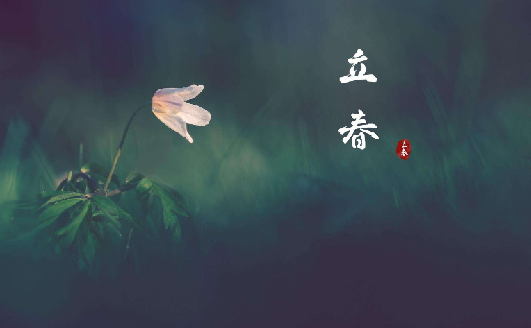 1641533100371276.png image.png