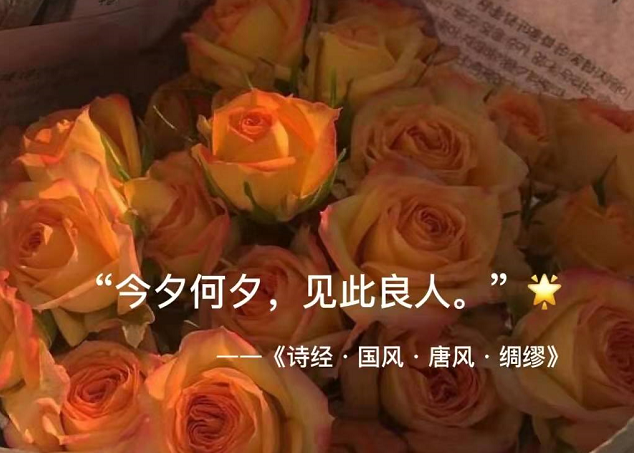 1641980595718025.png image.png