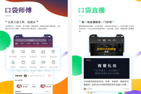 1646815737176166.png image.png