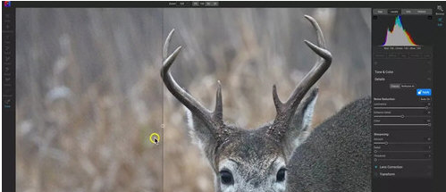 1647498083201610.png image.png