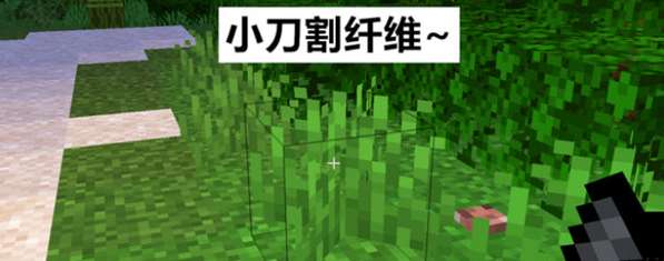 1647851923432364.png image.png