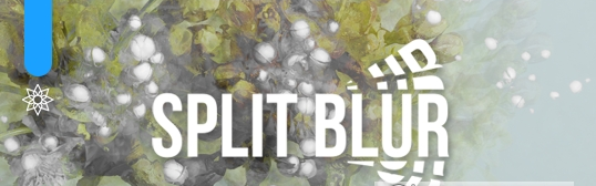 1648623024619168.png image.png