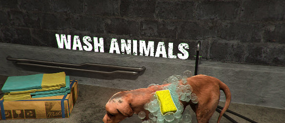 1649817768143043.png image.png