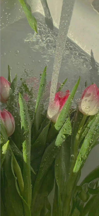 1655366774137224.png image.png