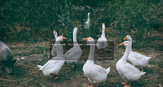 1656658014564228.png image.png