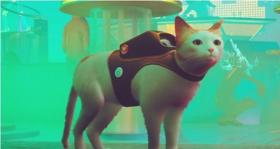 1658375084998054.png image.png