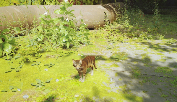 1658472122417053.png image.png