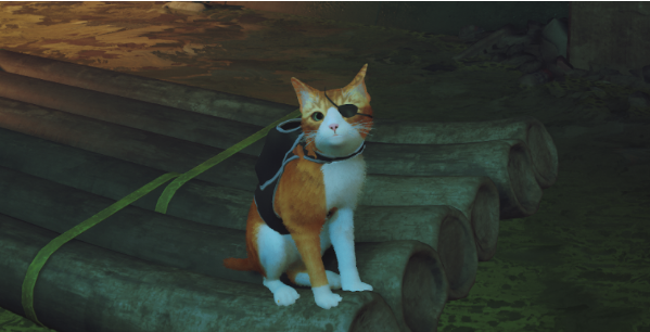 1658474085563472.png image.png