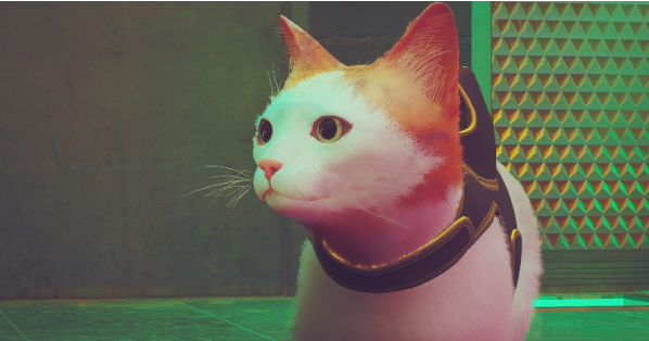 1658479238990858.png image.png