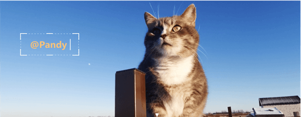 1665207802254347.png image.png