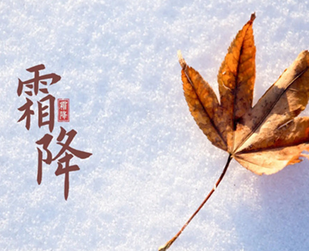 1666075848465191.png image.png