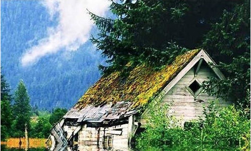 1666596641902963.png image.png