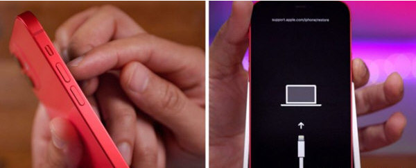 1667890926204411.png image.png