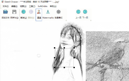 1670232446956368.png image.png