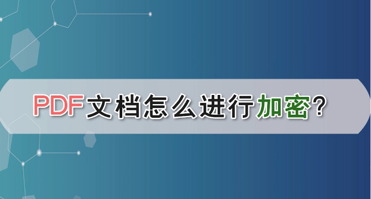 1703125947533950.png image.png