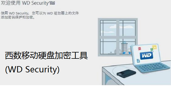 1733388919751484.png image.png