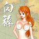 海贼无双3娜美白裤美腿mod