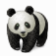 Panda Batch File Renamer(熊猫文件批量改名)